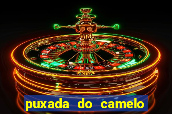 puxada do camelo jogo do bicho