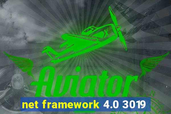 net framework 4.0 3019