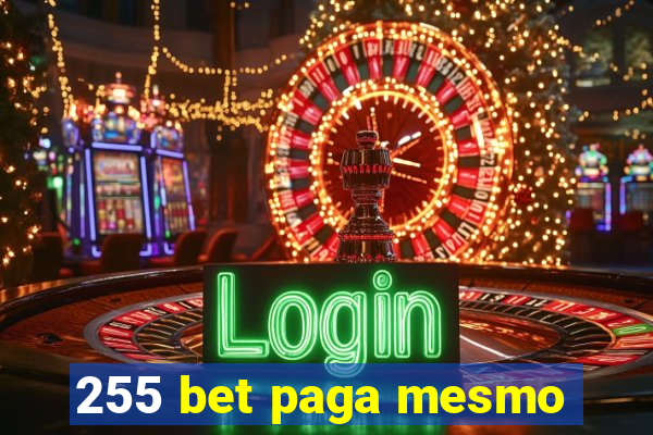 255 bet paga mesmo