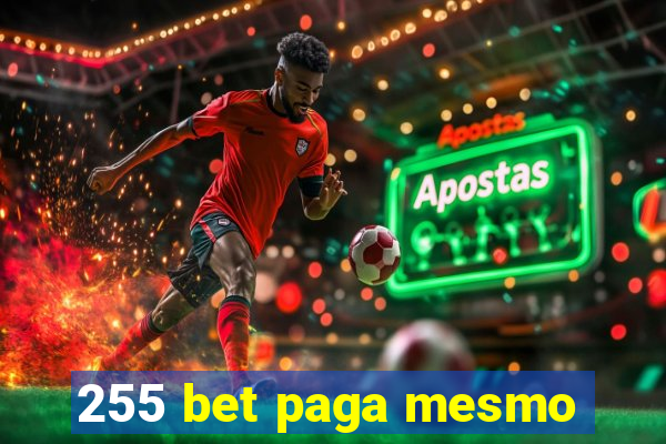 255 bet paga mesmo