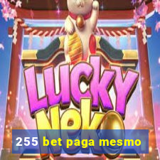 255 bet paga mesmo