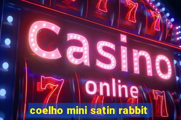 coelho mini satin rabbit