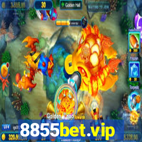 8855bet.vip