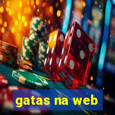 gatas na web