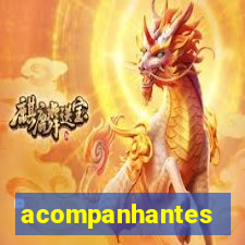 acompanhantes chamadas de video