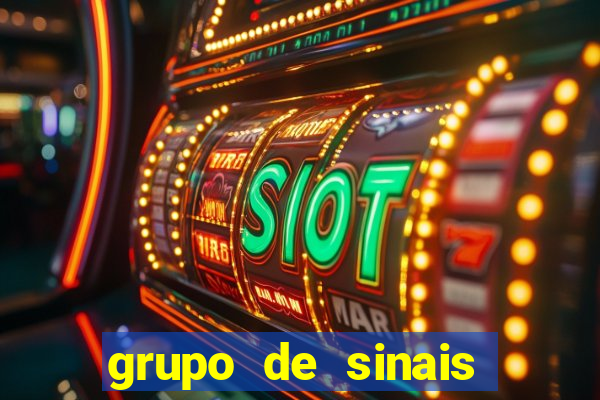 grupo de sinais fortune rabbit