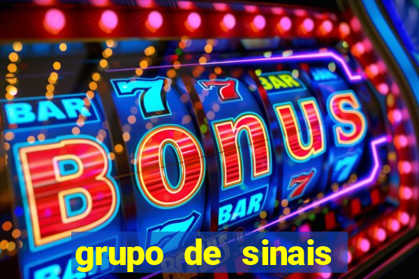 grupo de sinais fortune rabbit